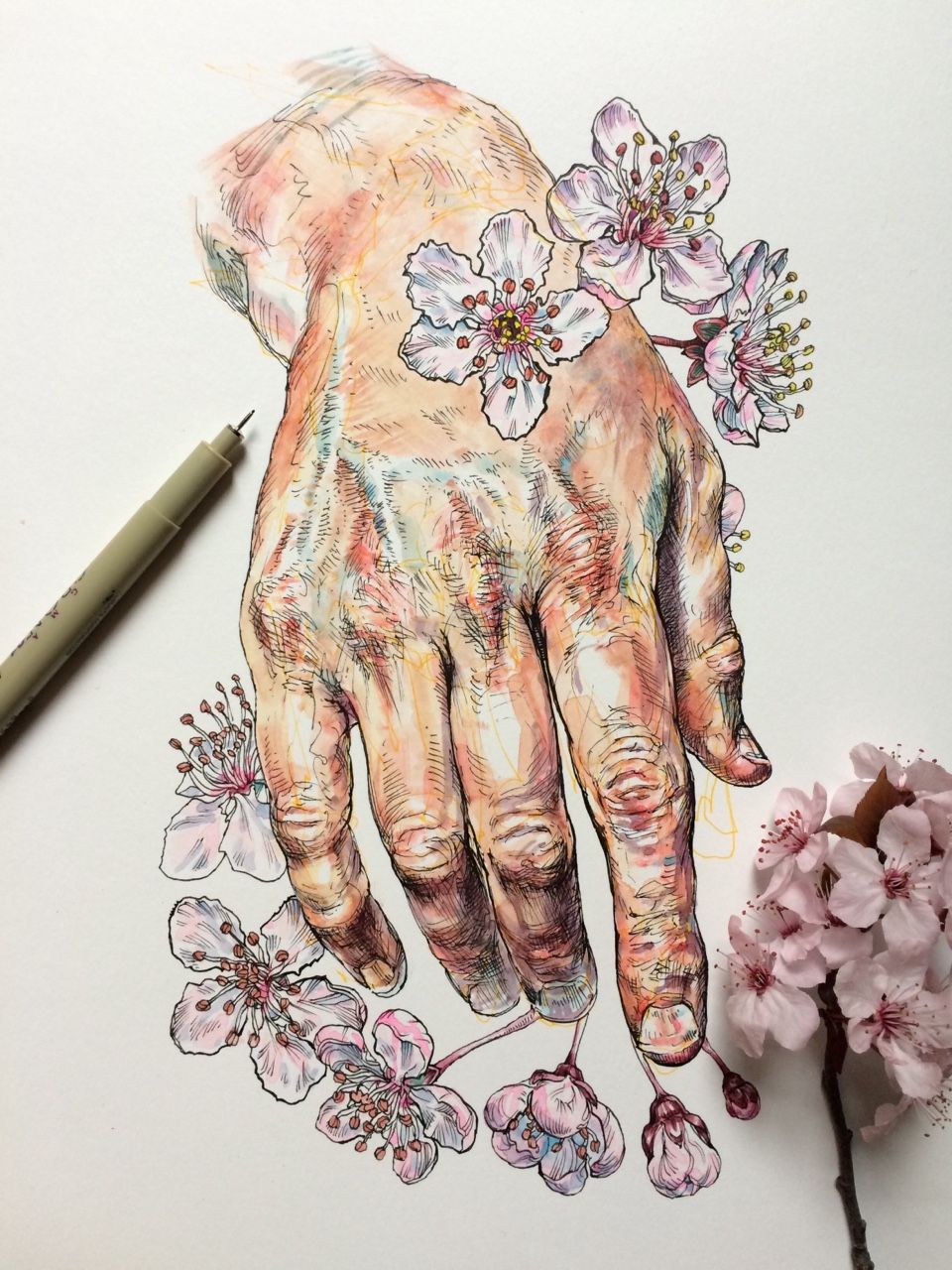 960x1280 Noel Badges Pugh Ink Amp Watercolor B) Art