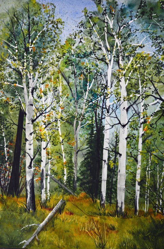 570x865 Landscape Art Watercolor Aspen Tree Painting Original Etsy