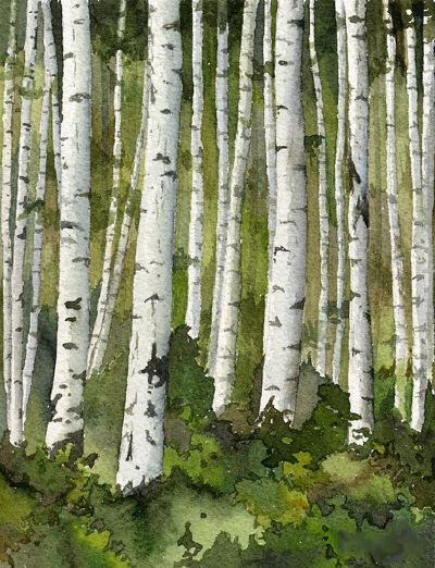400x522 Watercolor Aspen Amazing Art Aspen, Watercolor And