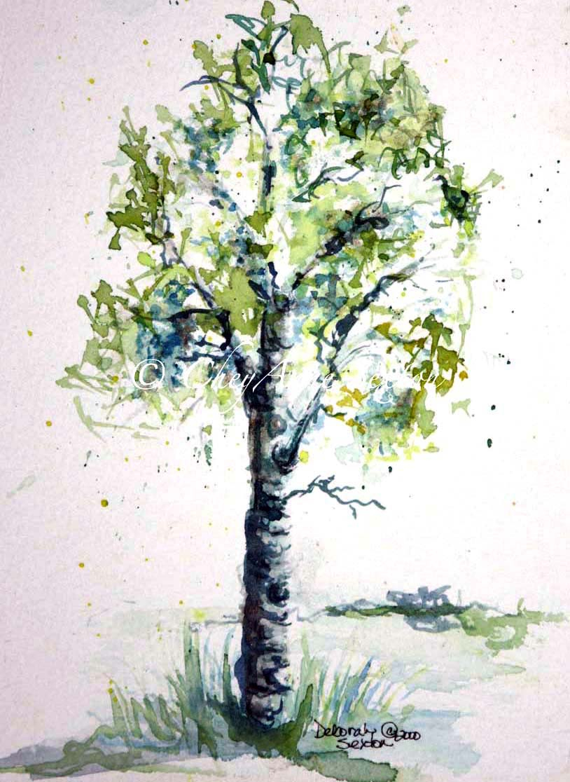 814x1116 Watercolor Painting Of Trees Aspen Trees Tattoos