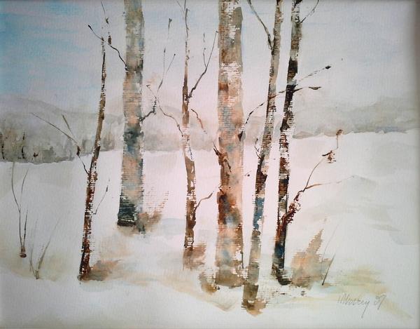 600x469 Aspen Trees In Winter