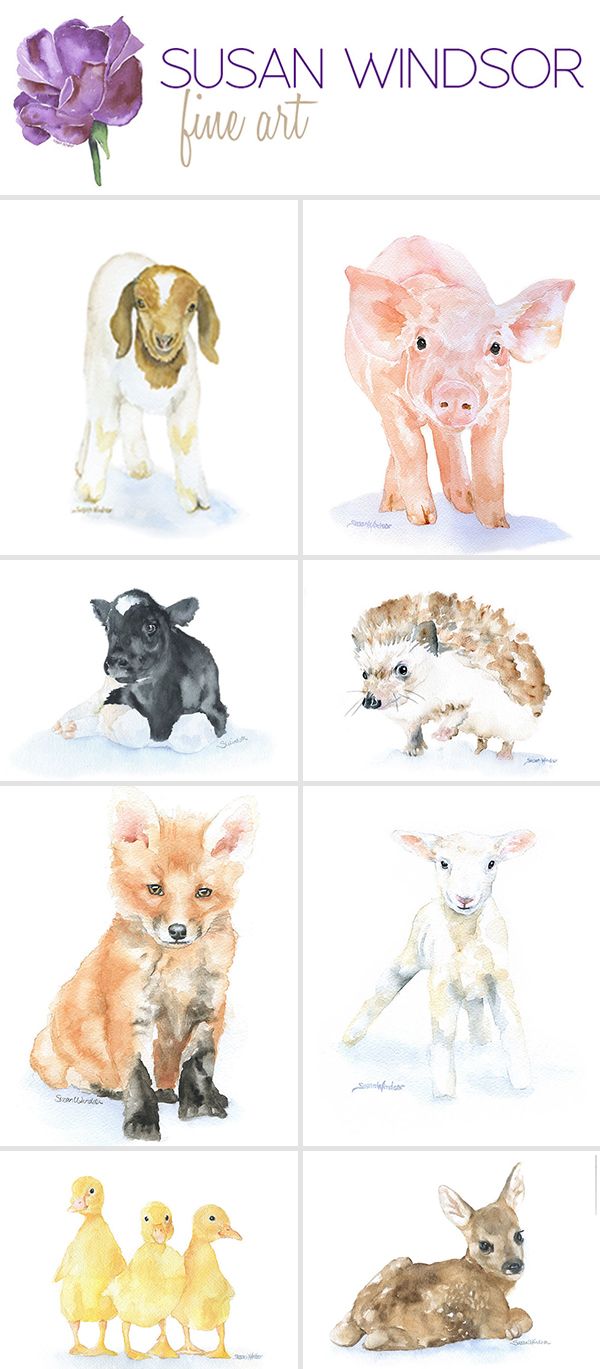 600x1369 Baby Animal Water Color Prints. Perfect For A Nursery. Lifestyle