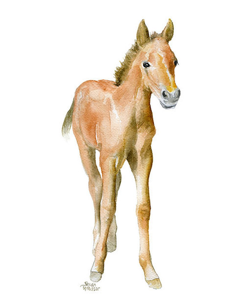 500x625 Horse Watercolor Painting Glicee Reproduction 8 X 10 8.5x11