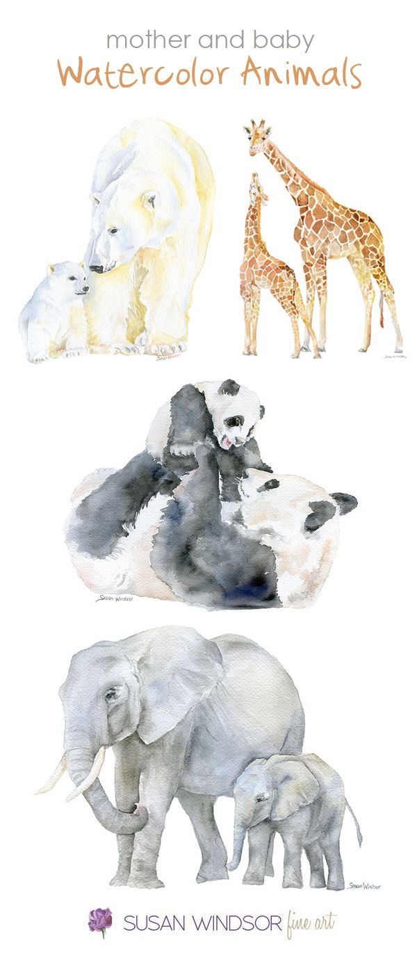600x1369 Watercolor Animals