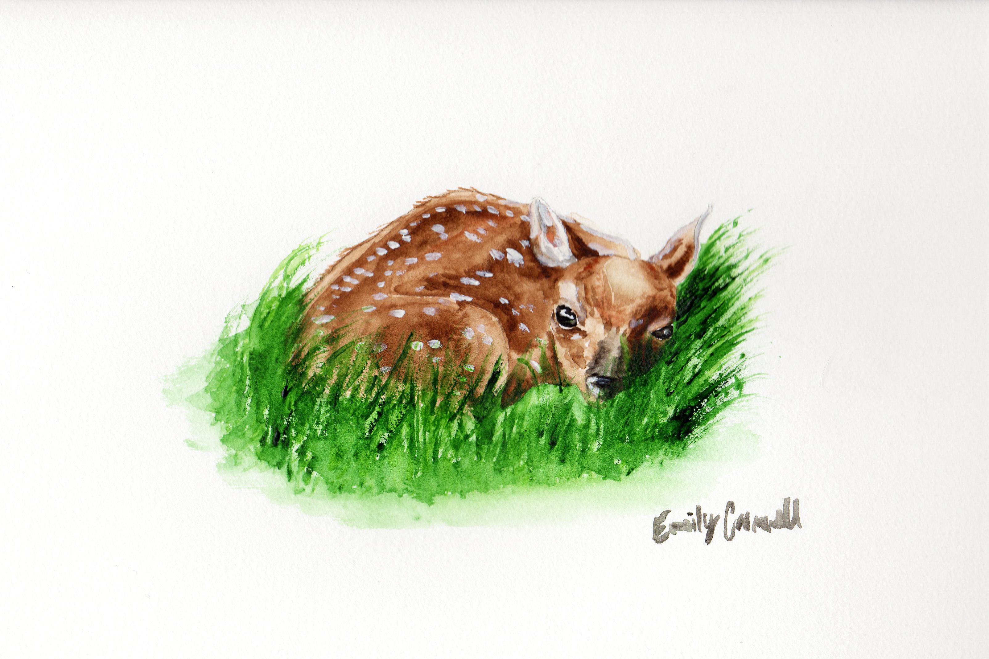 3207x2138 Baby Deer Watercolor Painting