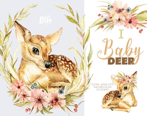 570x453 Little Baby Deer. Watercolor Animal Clipart Floral Wreath Etsy