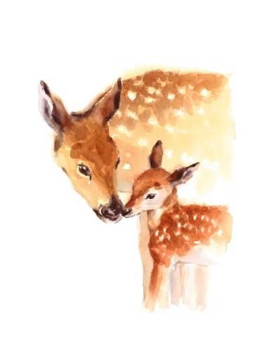 366x488 Mother And Baby Deer Watercolor Prints By Cmwatercolors