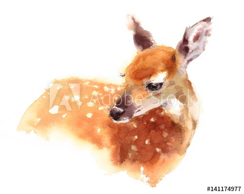 500x397 Watercolor Baby Deer Hand Painted Fawn Illustration Isolated On
