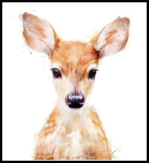 500x546 Kangaroo Watercolor Tumblr