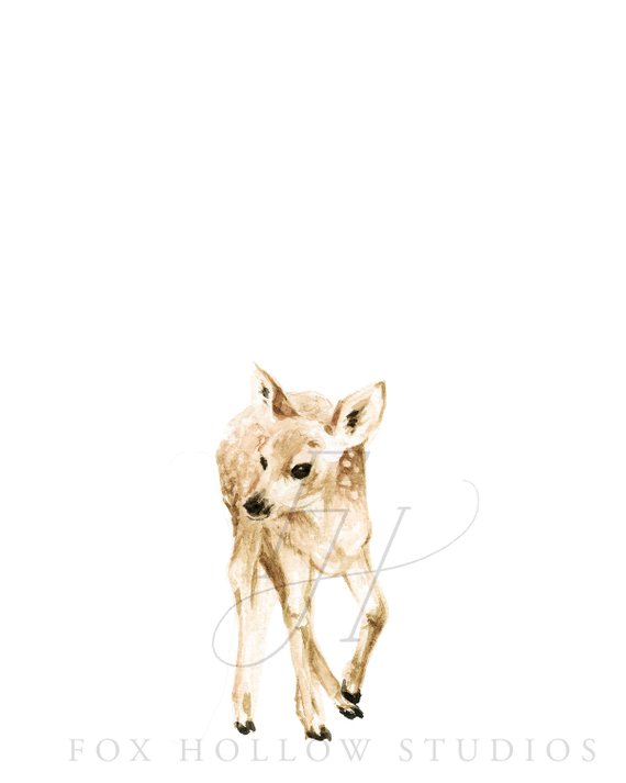 570x713 Baby Deer Bodysuit Animal Bodysuit Deer Watercolor Etsy