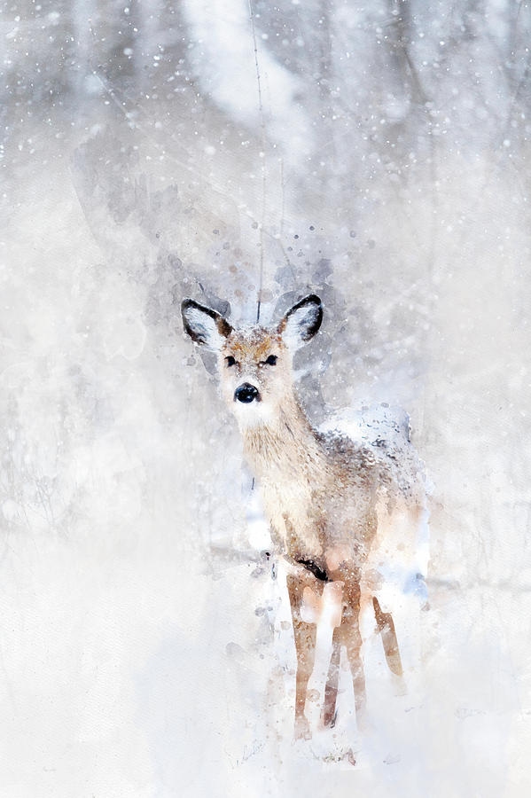 599x900 Baby Deer In The Snow Watercolor Painting By Mata