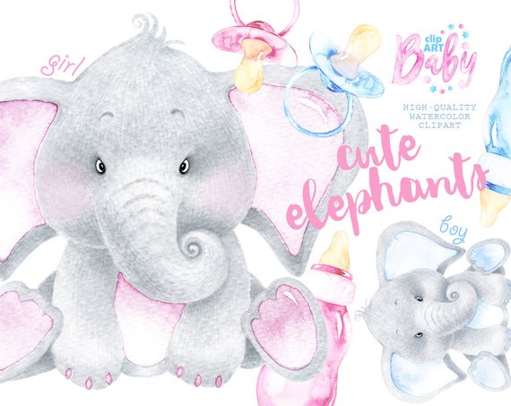 570x453 Watercolor Baby Elephant. Cute Animal Clipart Nursery Etsy