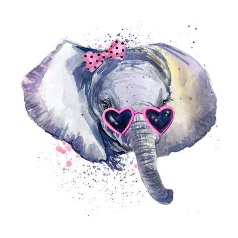 473x473 Baby Elephant T Shirt Graphics. Baby Elephant Illustration With