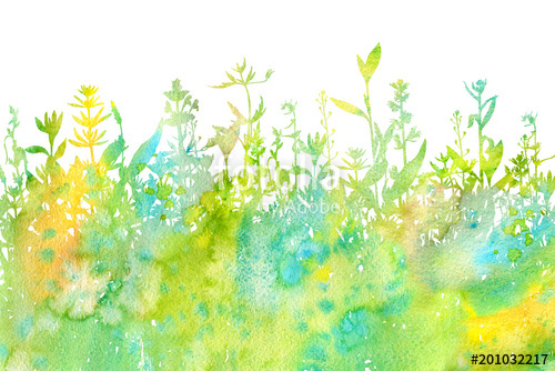 500x334 Watercolor Background With Drawing Herbs And Flowers Stock Photo