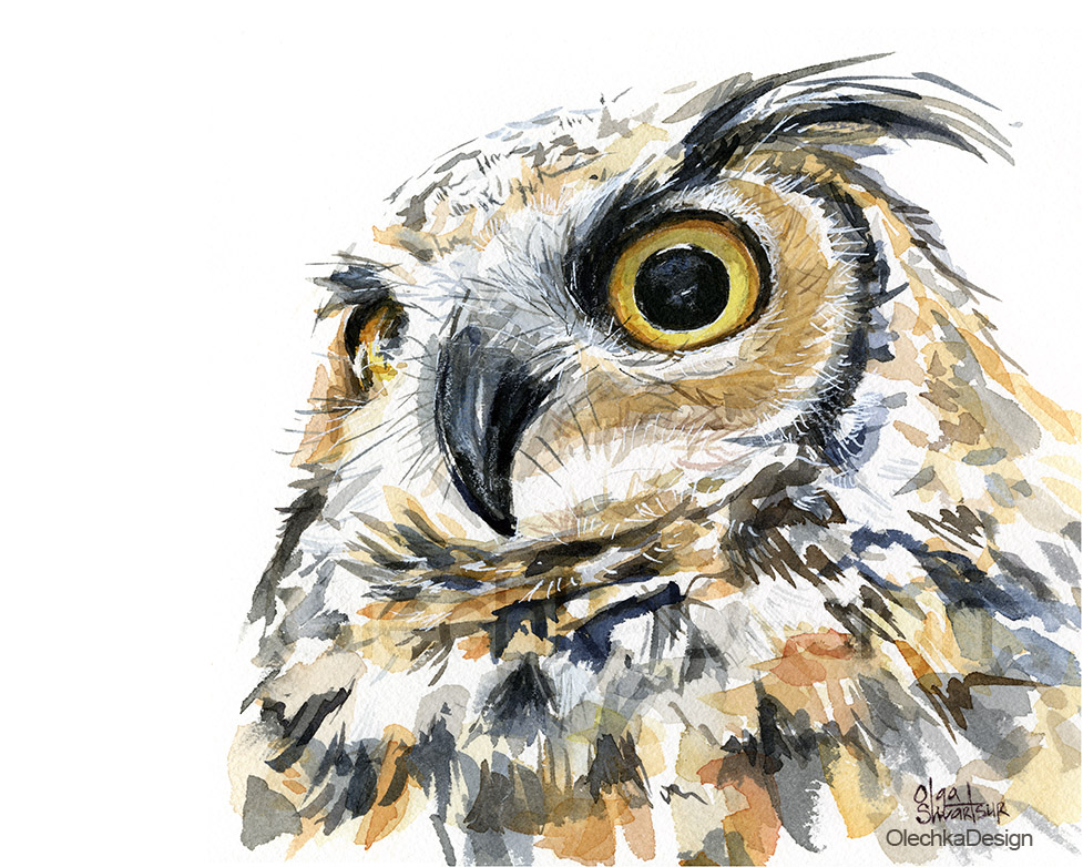 977x782 Barn Owl Watercolor Olechka Design