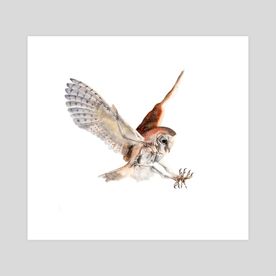 540x540 Barn Owl Watercolor Skeleton, An Art Print By Jp Lara