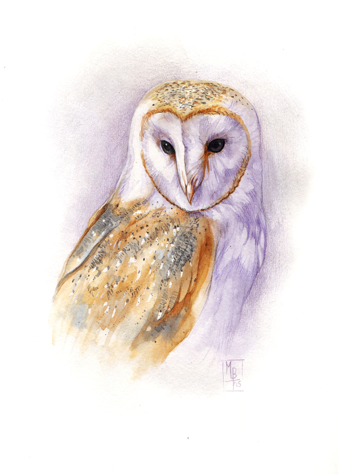 686x960 Barn Owl By Wolf Minori
