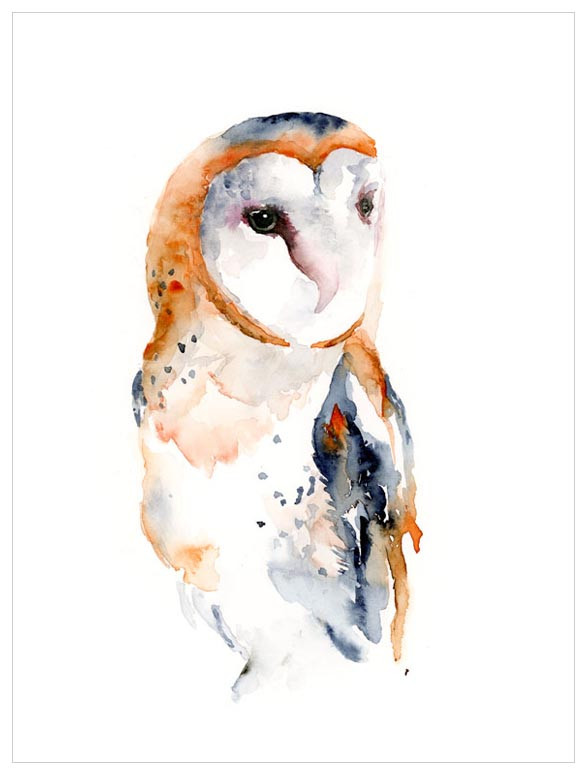 587x775 Watercolor Barn Owl, Birds Canvas Wall Art Greenbox