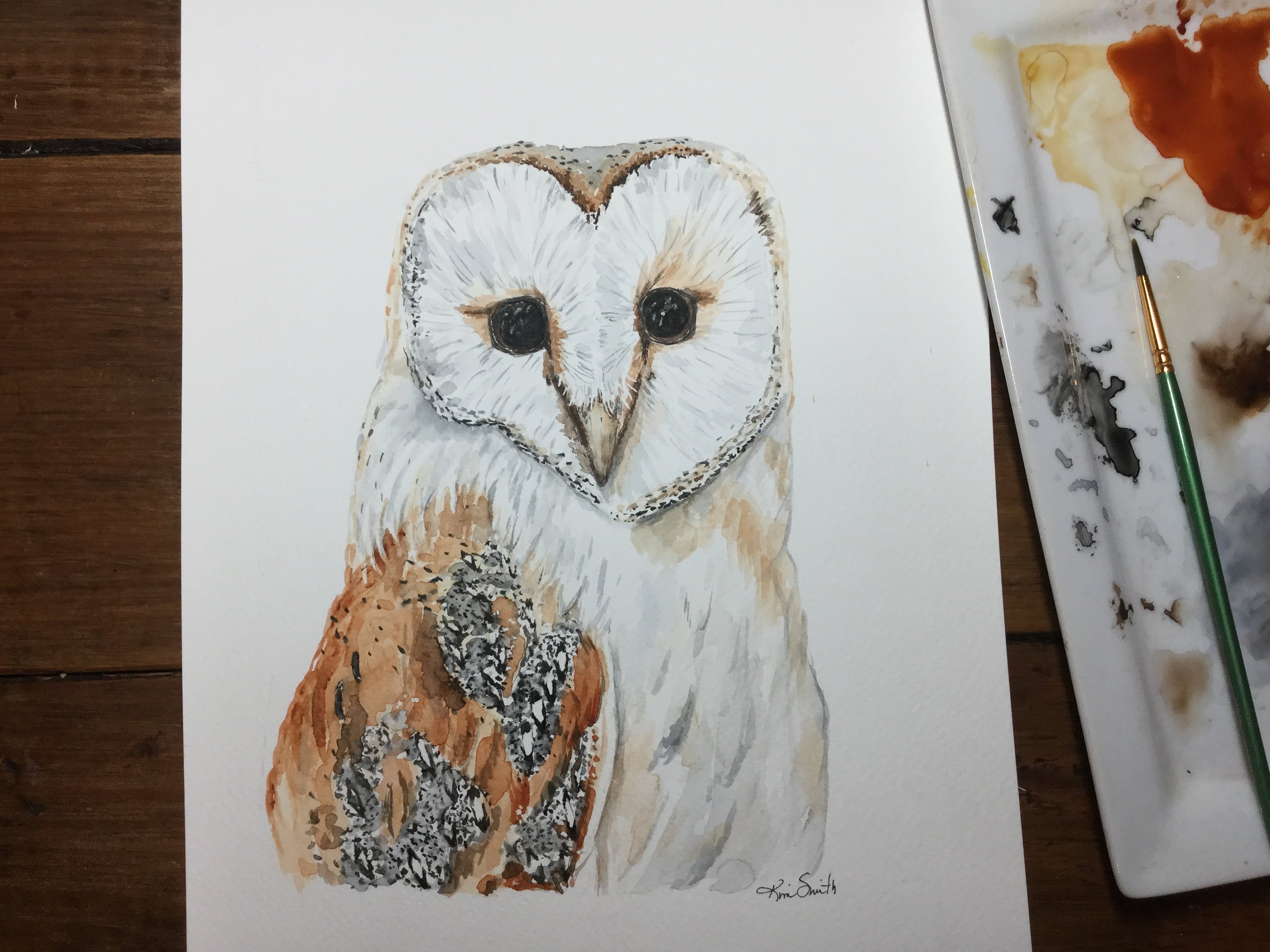 3000x2250 Watercolor Barn Owl Etsy