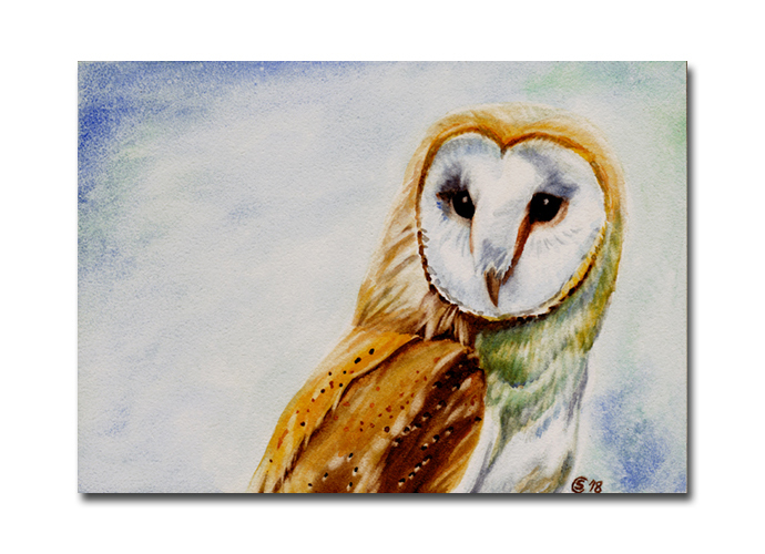 690x500 Barn Owl 8 Hibou Chouette Bird Watercolor By Sandrinesgallery