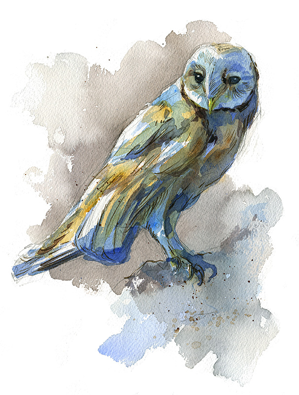 606x799 Barn Owl, Original Watercolor On Paper, Ready To Hang Joanna