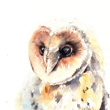 354x354 Barn Owl Bird Watercolor Painting Art From Canotstopprints