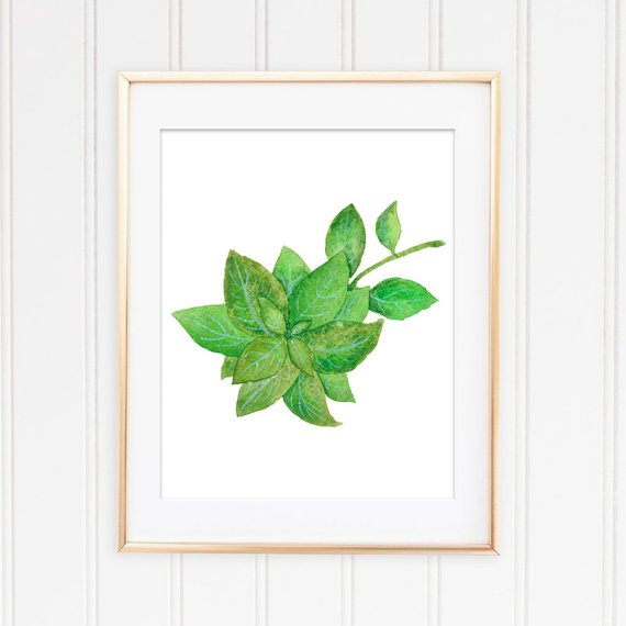 570x570 Basil Printable Basil Print Kitchen Printable Watercolor Etsy
