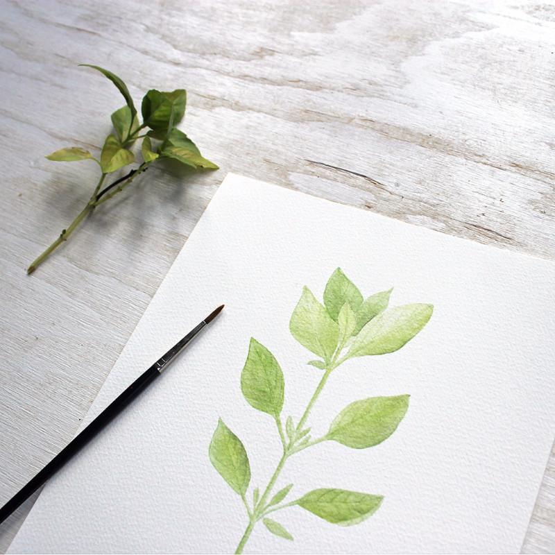 800x800 Herb Watercolor Print