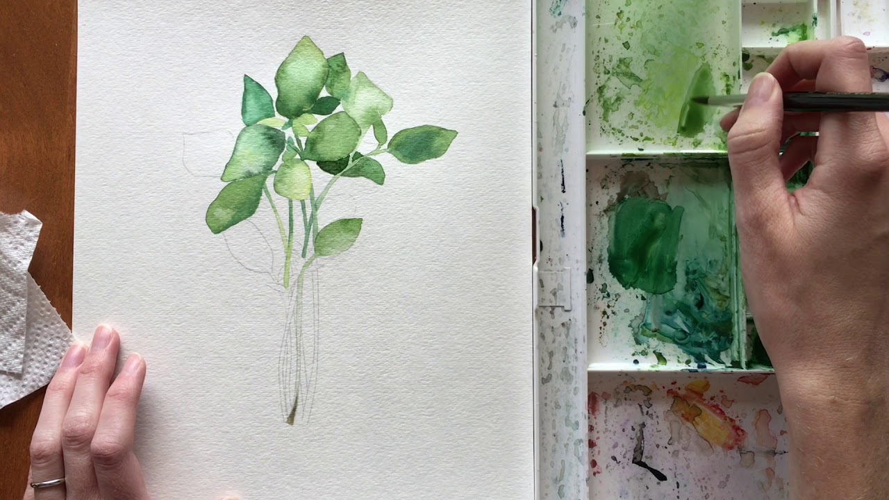 1280x720 Watercolor Basil Tutorial