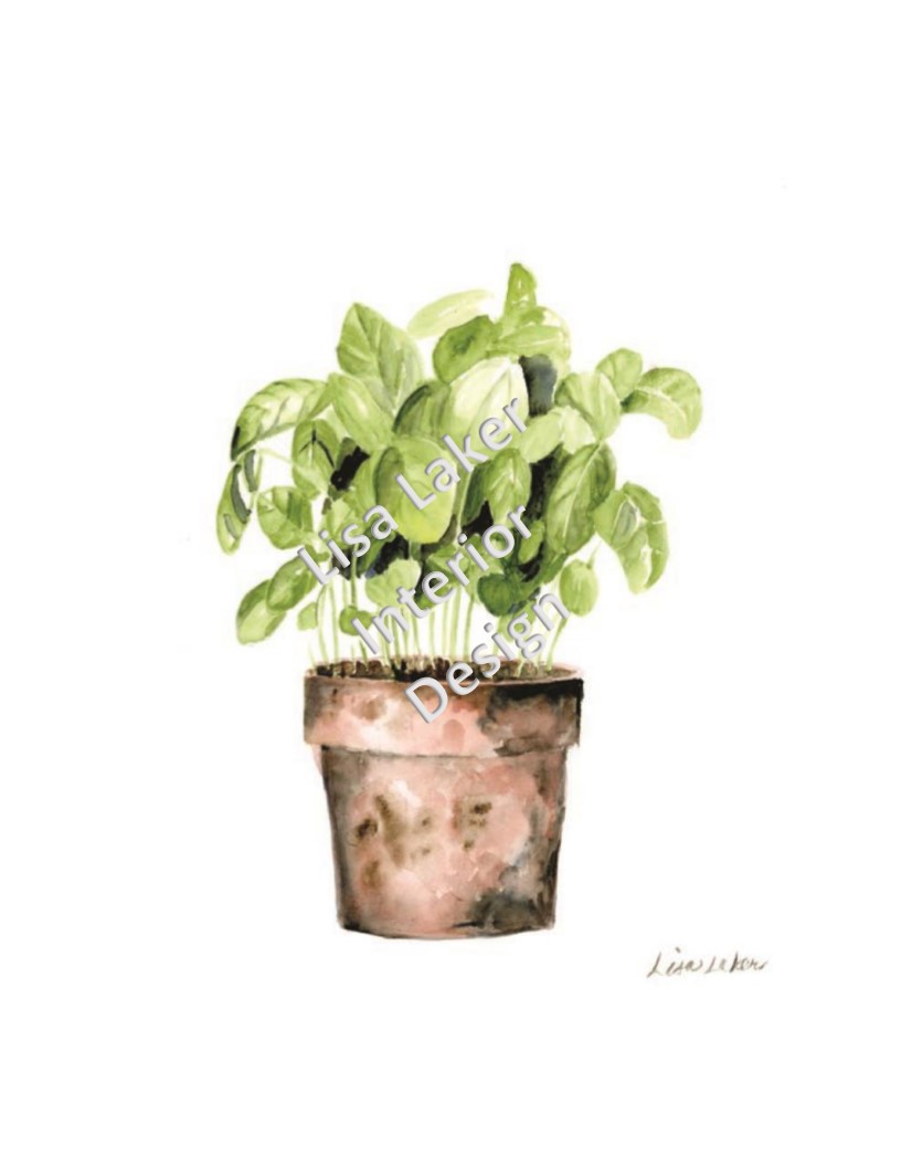 816x1056 Watercolor Potted Basil Print