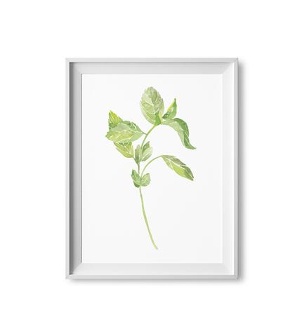 433x479 Basil Herb Watercolor Print Lilac Paperie