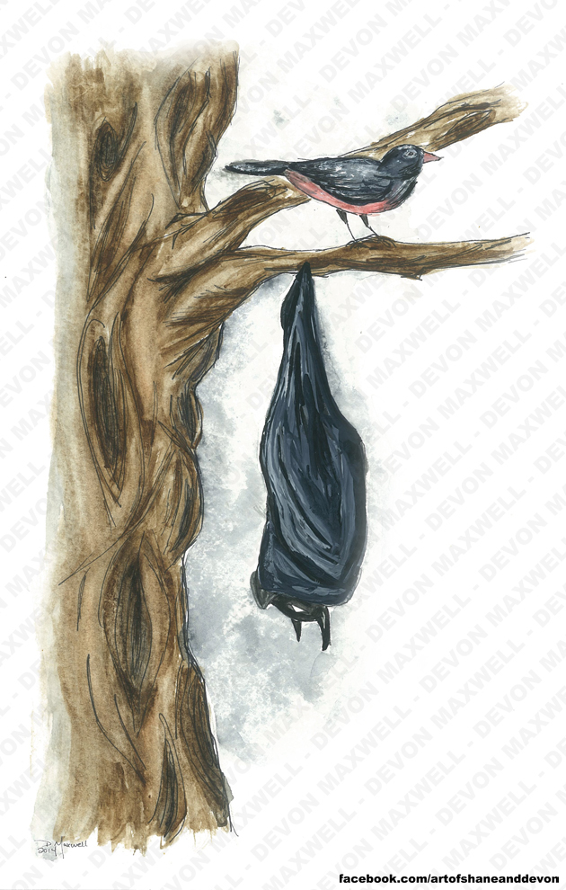 630x990 Batman And Robin Watercolor The Art Of Shane And Devon Online