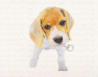 340x270 Beagle Watercolor Etsy