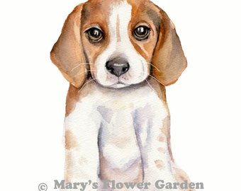 340x270 Beagle Watercolor Pr Etsy