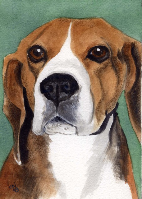 457x640 Christine Winship Artwork Beagle Original Watercolor Animals Art