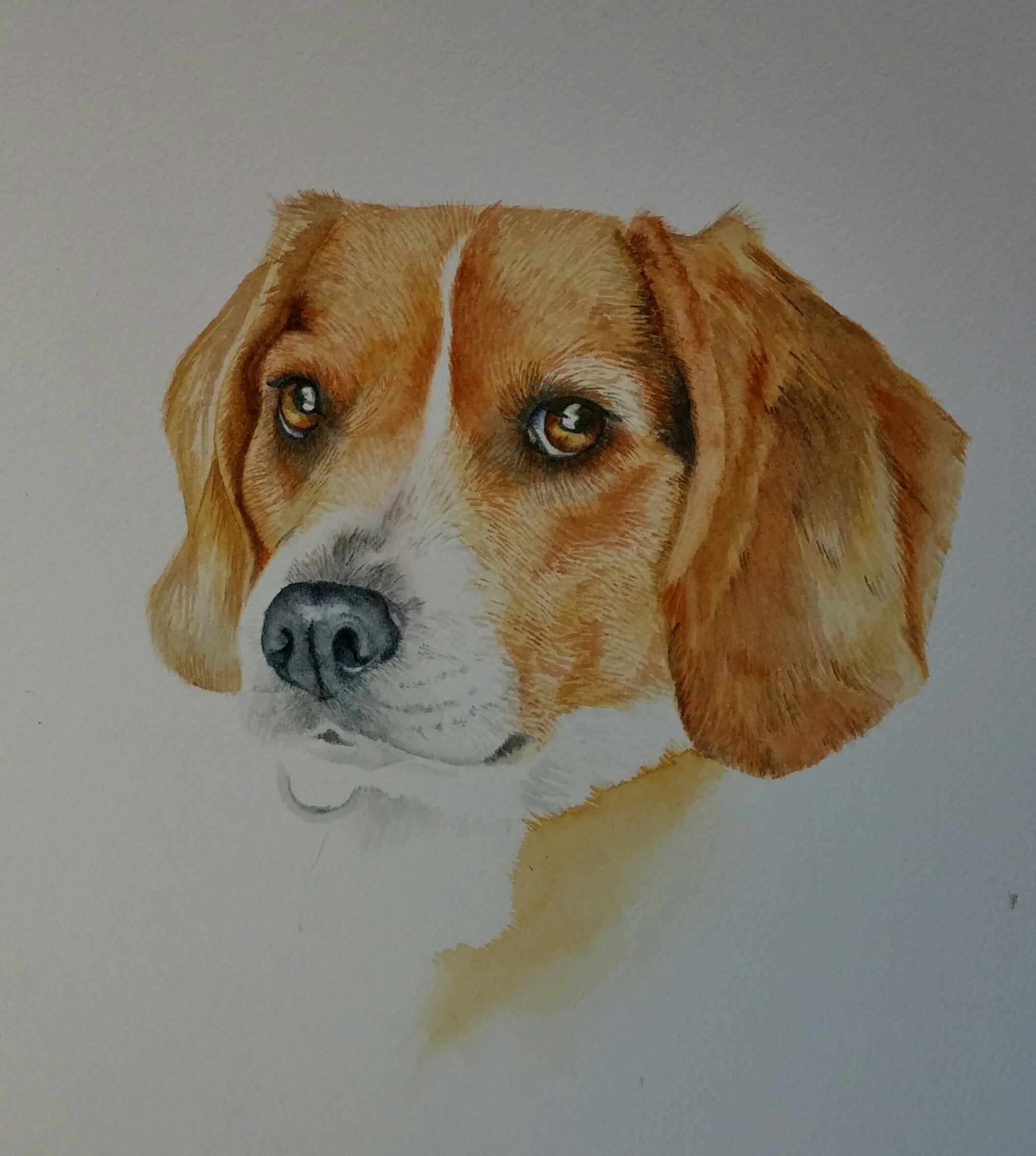 2116x2362 Demo How To Paint A Watercolor Dog Using Just Four Colors