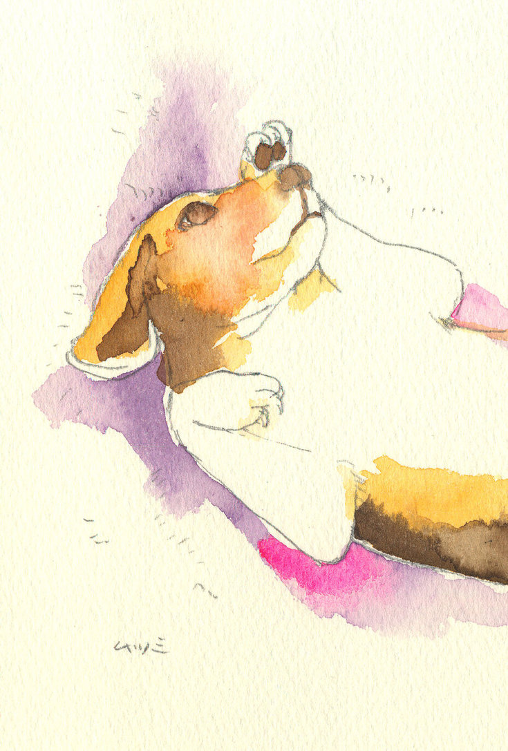 735x1087 Watercolor Beagle Ii By Muttiy
