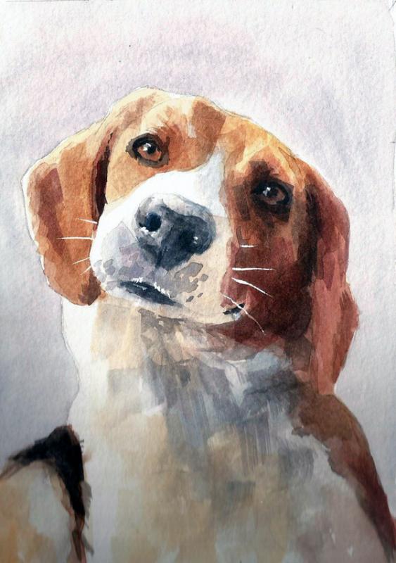 563x800 Happy Beagle Watercolor