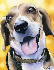 232x300 Beagle Art Print Watercolor Painting Signed By Artist Dj Rogers Ebay