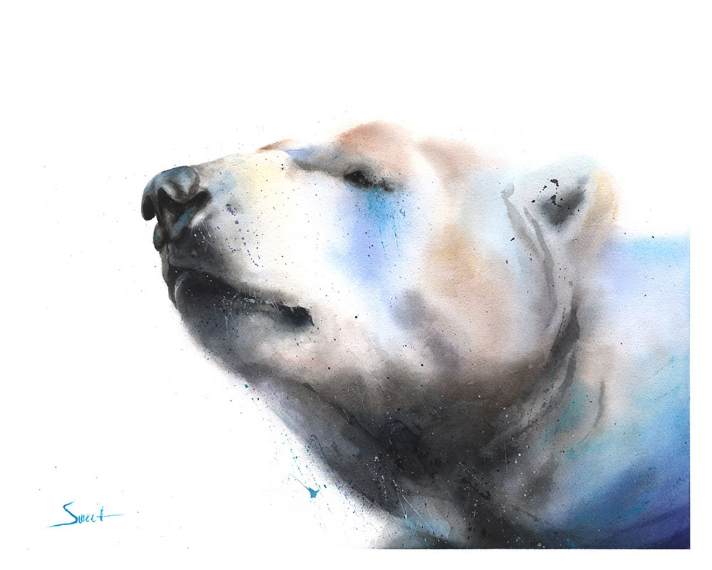 1000x800 Polar Bear Watercolor Print Watercolor Animal Paintings