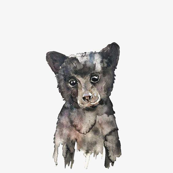564x564 Watercolor Bears, Watercolor Clipart, Bear Baby, Cartoon Bear Png