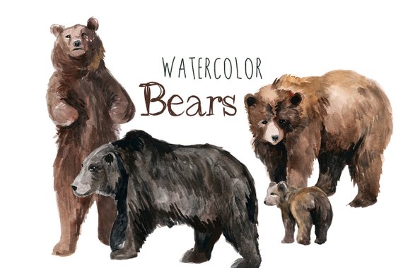 570x380 Watercolor Bears Bear Clip Art Forest Clipart Bears Etsy