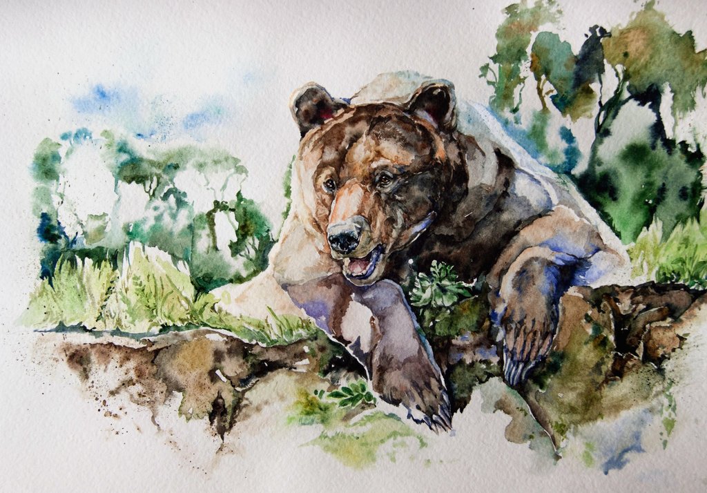 1024x714 Watercolor, Bear By Lomovtsevaolga