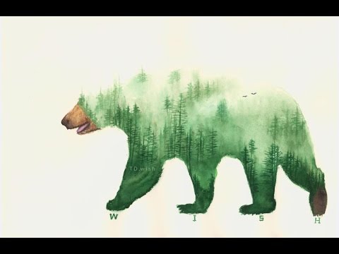 480x360 Forest Bear.