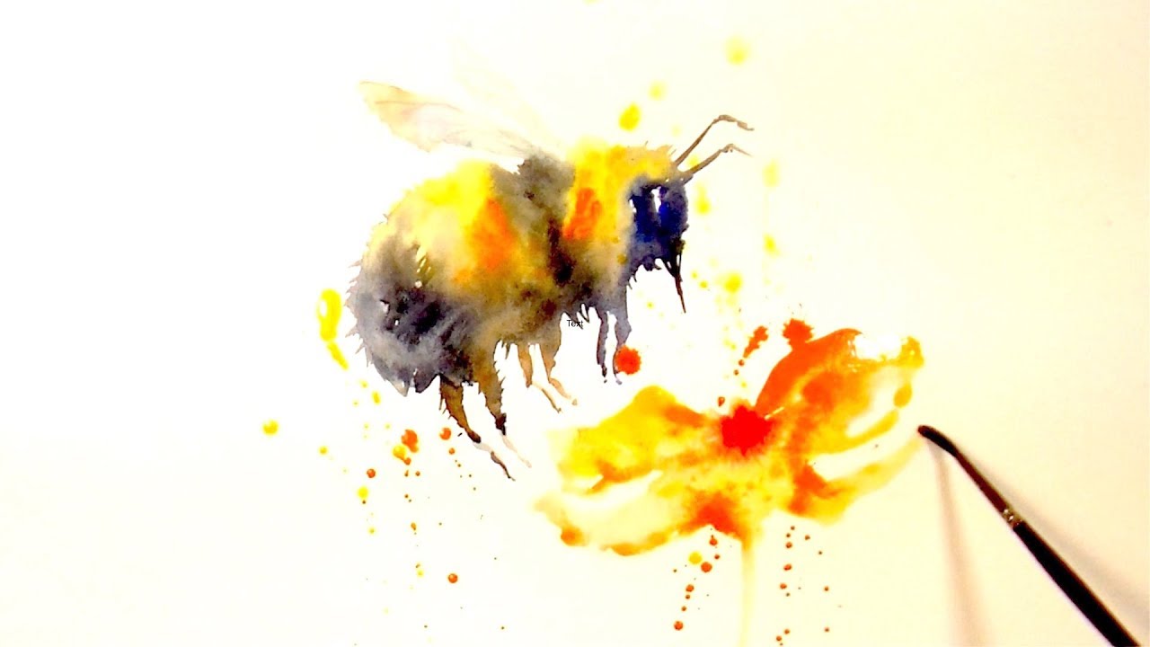 1280x720 Learn How To Paint And Colour A Bee