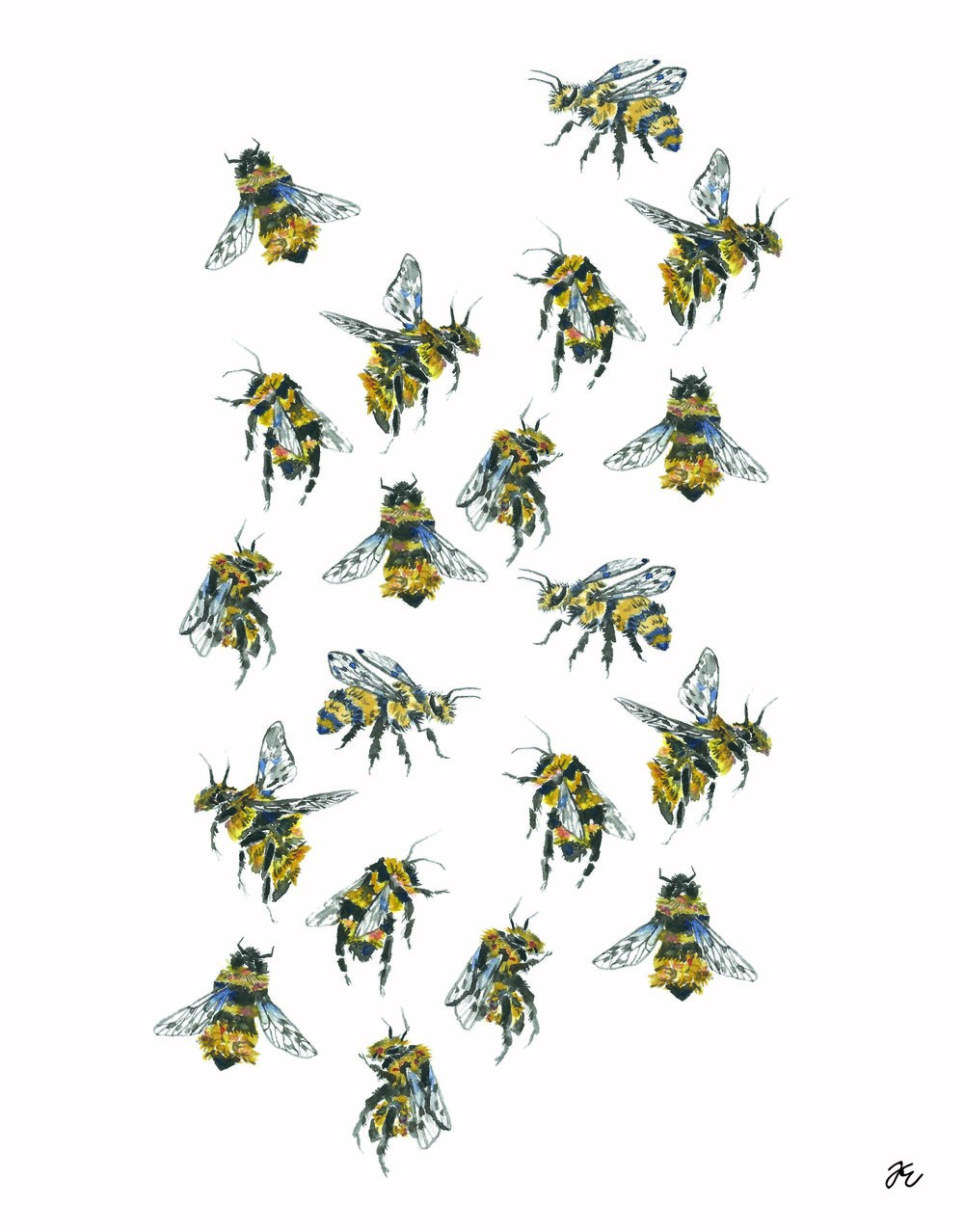 1000x1278 Watercolor Bee Print Tess Erlenborn
