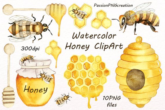 570x379 Watercolor Honey Clipart Watercolor Bee Clip Art Digital Etsy