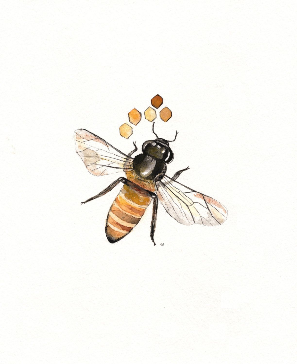 1223x1500 Watercolor Bee