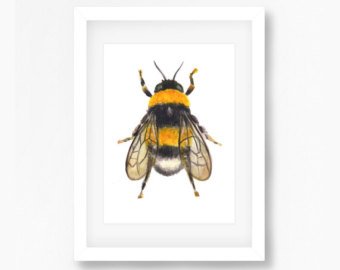 340x270 Bee Watercolor Etsy