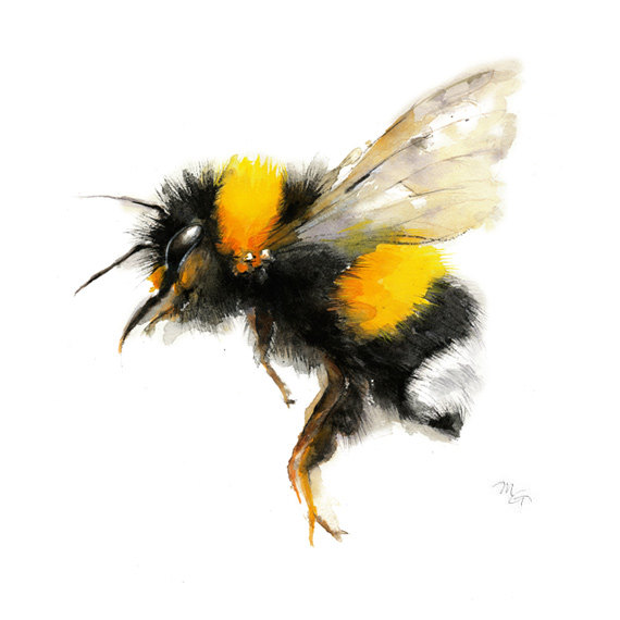 570x570 Bee Watercolor Painting